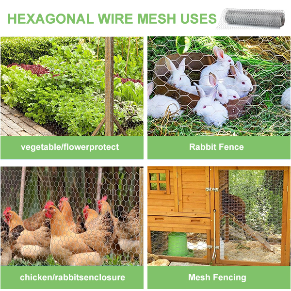 Factory Price hexagonal chicken wire mesh