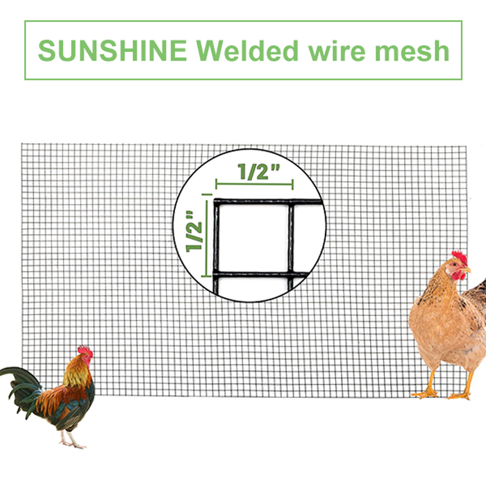 Electro and hot-dipped galvanized welded wire mesh