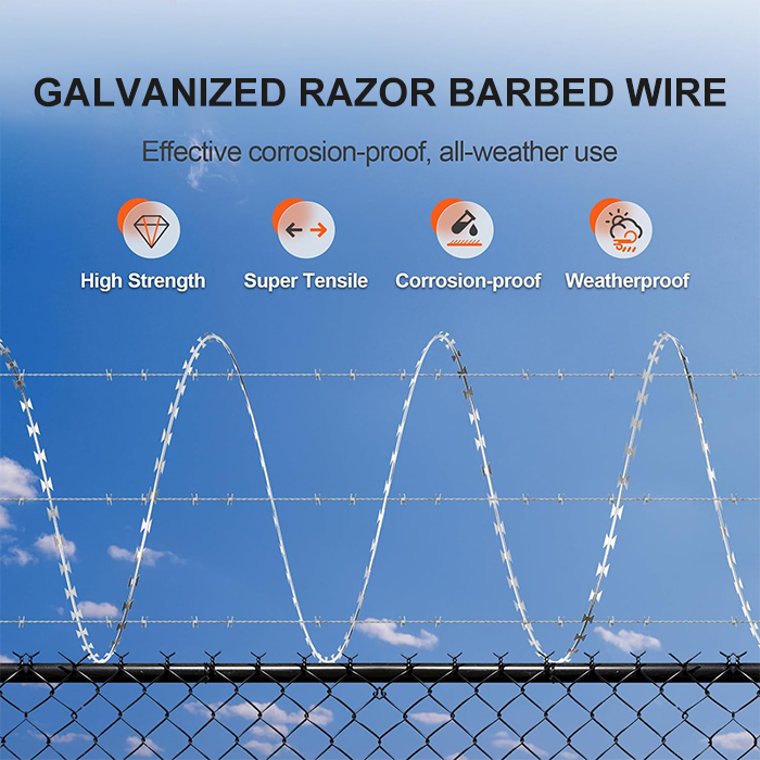 Electric and Hot-Dipped Galvanized Razor Barbed Wire