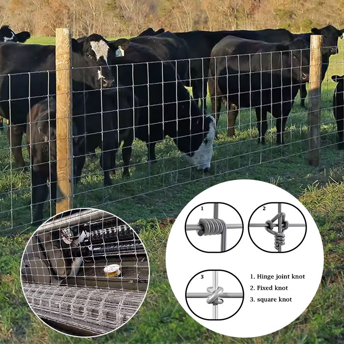 Wholesale high quality livestock fence