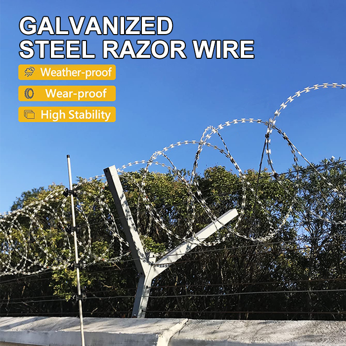 Galvanized razor barbed wire on Fence