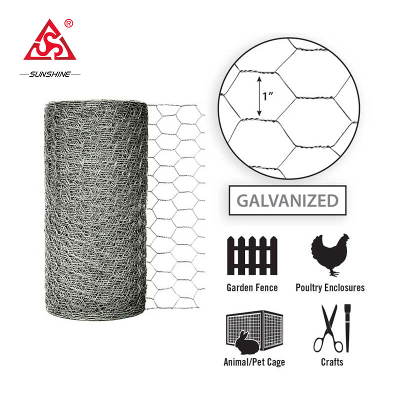 Hot selling galvanized hexagonal hole chicken wire mesh