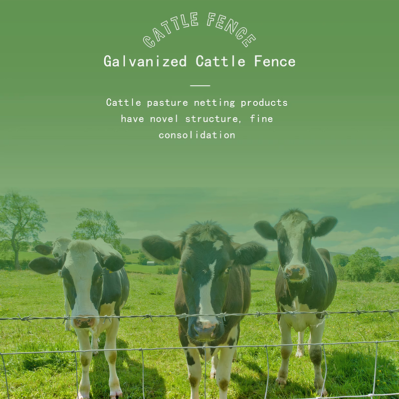 Grassland galvanized cattle fence for sale