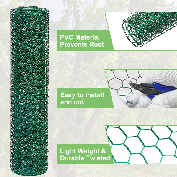 Colorful PVC coated hexagonal wire  mesh