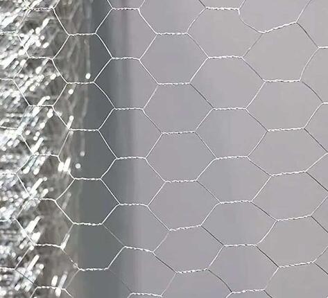 Hexagonal wire mesh