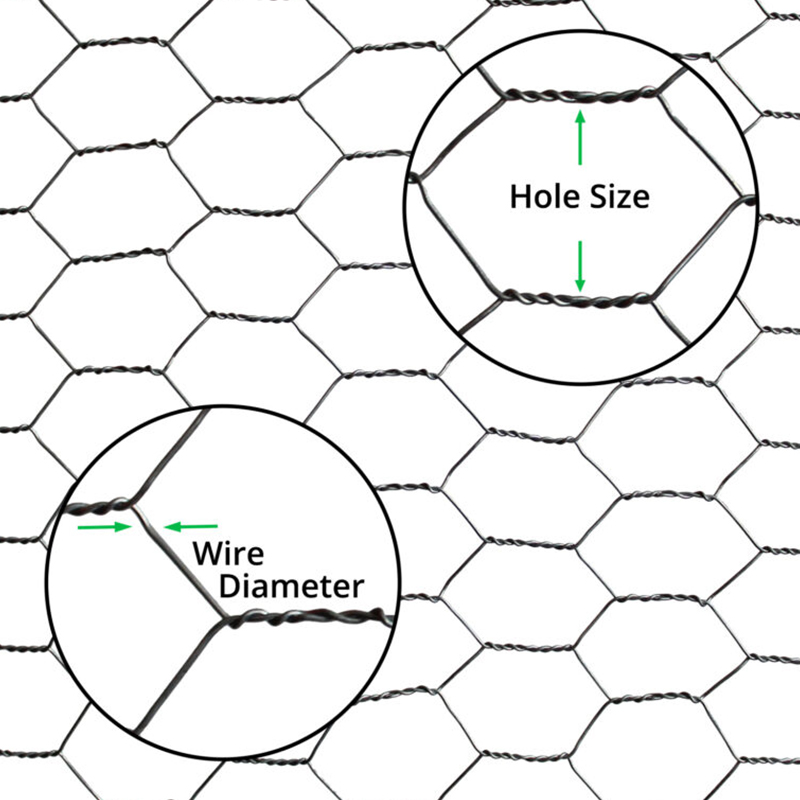 1/2inch 1 inch mesh small hole chicken wire