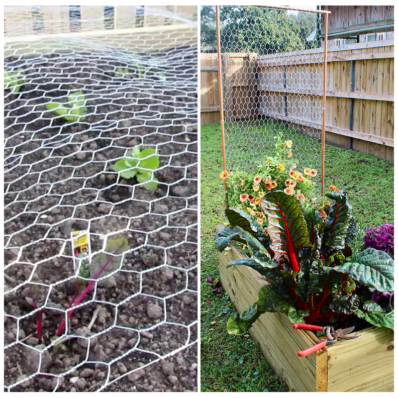 The Versatile chicken wire for garden and poultry