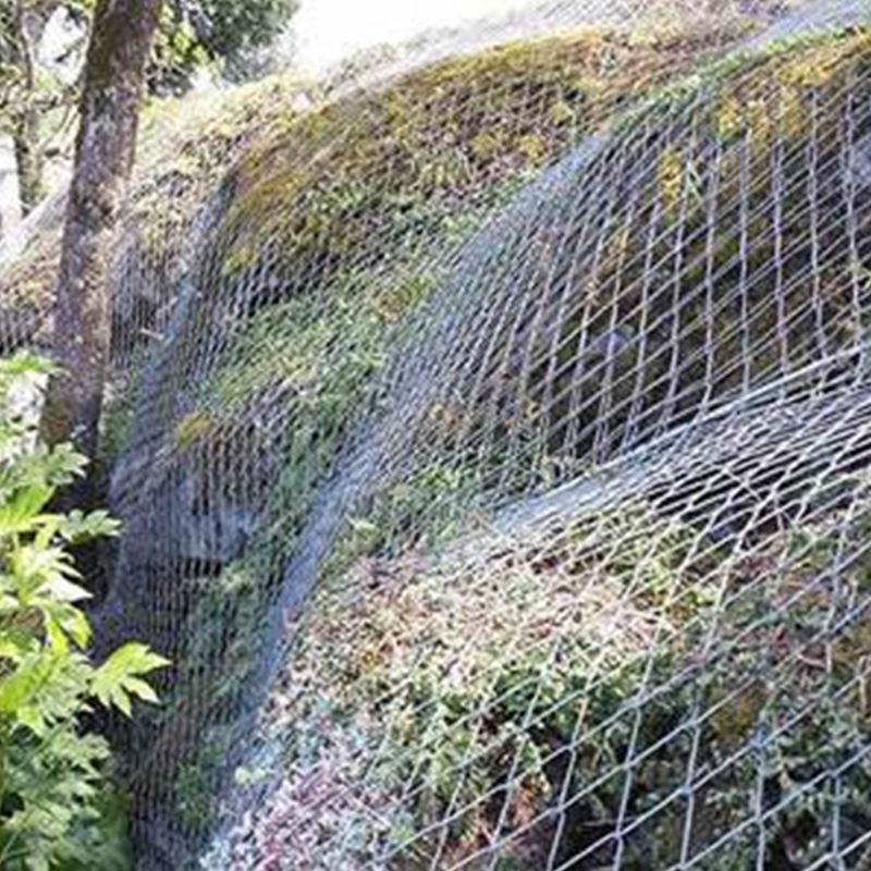 Why Choose Galvanized Chain Link Fence for Green Slope Protection