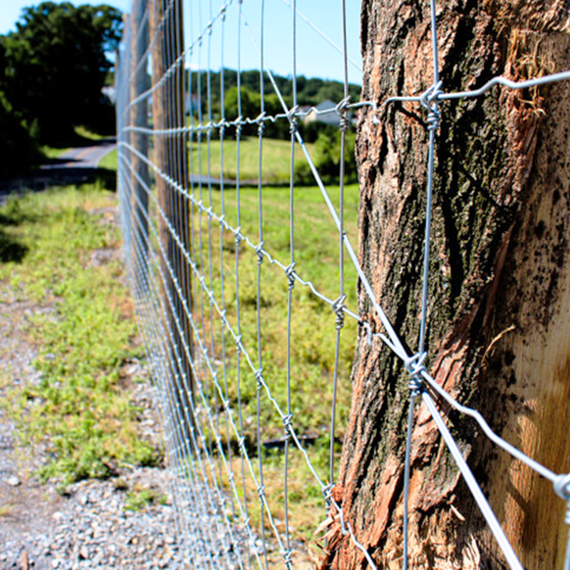 Galvanized farm field livestock cattle fence wire