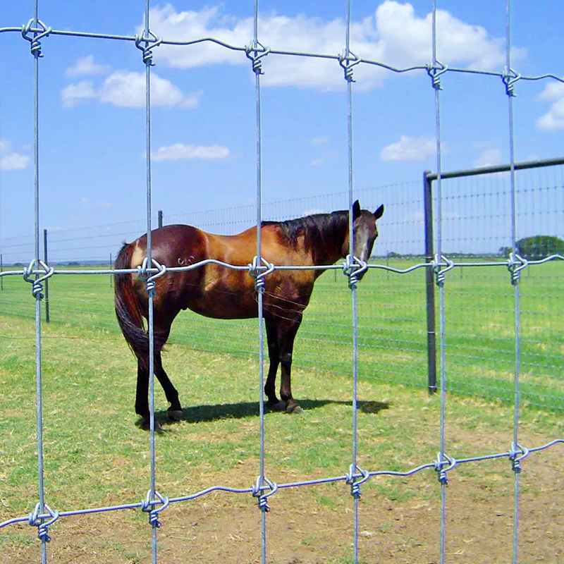 Galvanized woven wire metal livestock cattle fence