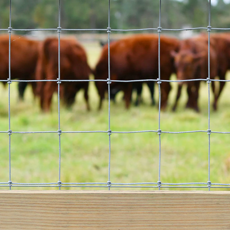 Galvanized woven wire metal livestock cattle fence