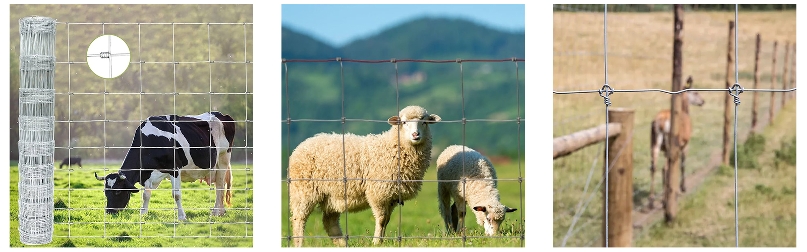 Galvanized livestock mesh fencing for horses and cattle