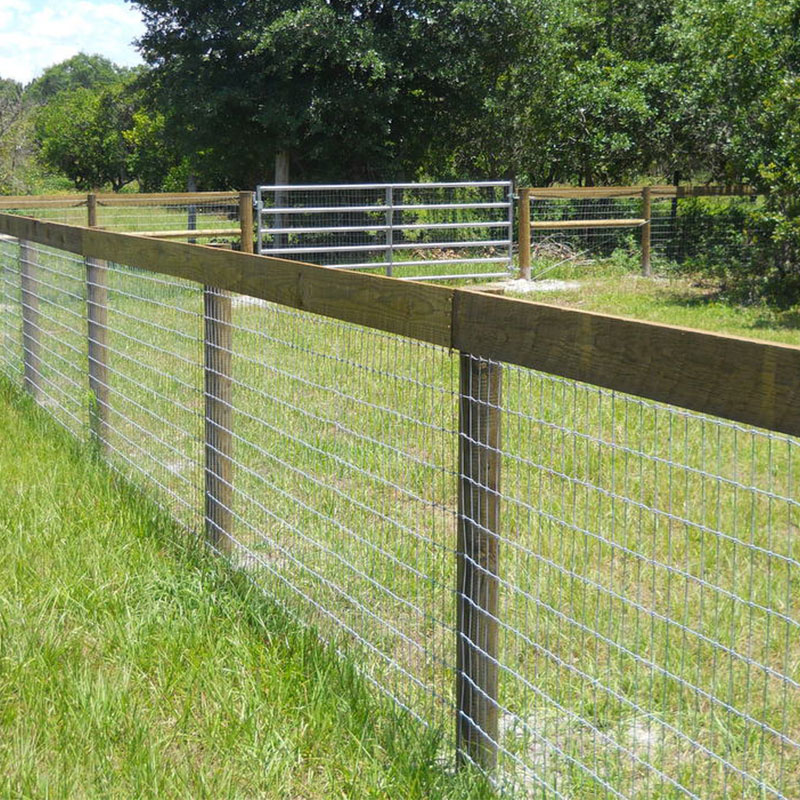 Livestock cattle galvanized iron wire mesh metal fencing for sale