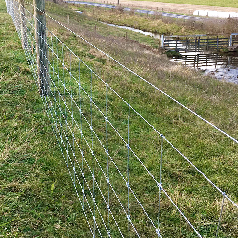 Livestock cattle galvanized iron wire mesh metal fencing for sale