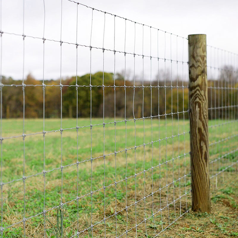 Galvanized Q195/Q235 iron wire mesh cow pasture fencing