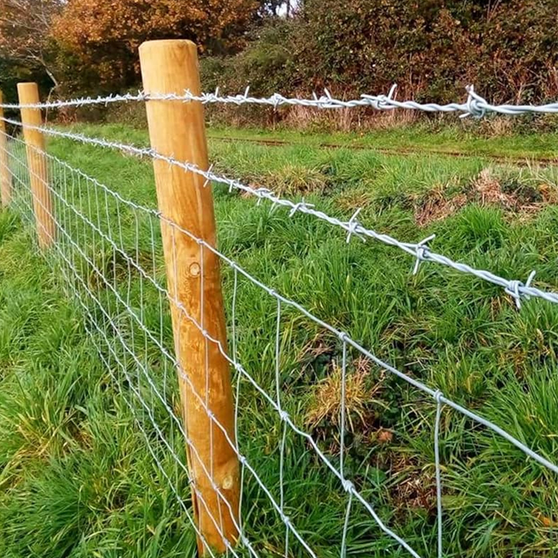 The Benefits of Barbed Wire for Cattle Fences