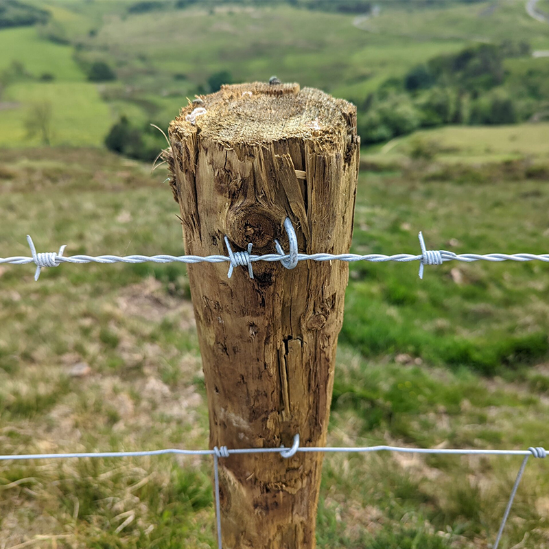 The Benefits of Barbed Wire for Cattle Fences