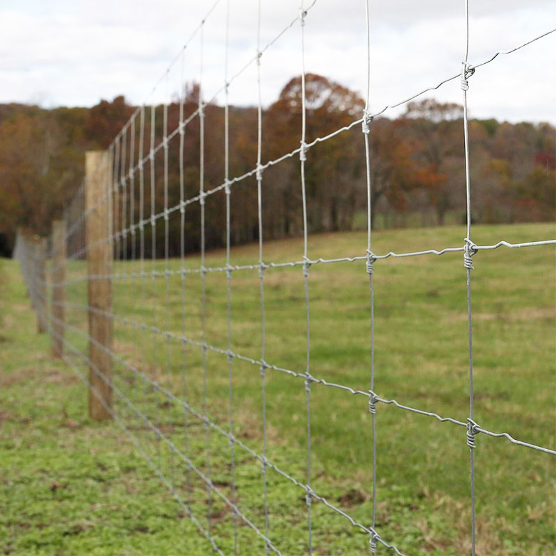 Fixed knot field fence for cattle,deer and horses