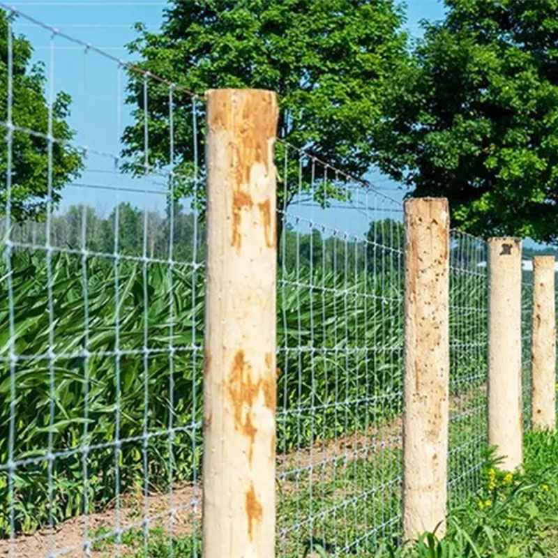 High tensile woven galvanized iron wire cattle fence