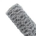 Galvanized Hexagonal Wire Mesh