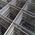 China hot sale high quality galvanized welded wire mesh