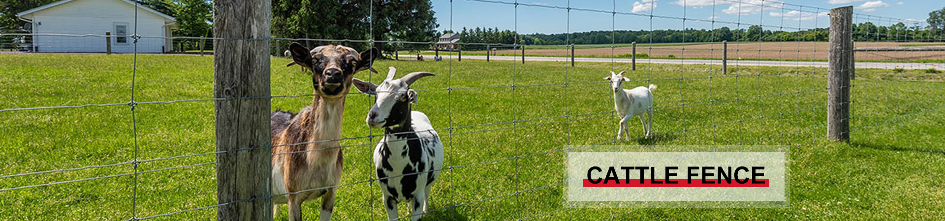 Field Fence