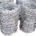 Electric and Hot-Dipped Galvanized Barbed Wire Fence