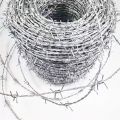 Electric and Hot-Dipped Galvanized Barbed Wire Fence