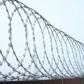 China Wholesale High Quality Galvanized Razor Wire