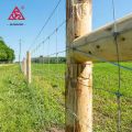 China wholesale field farm fence for cattles