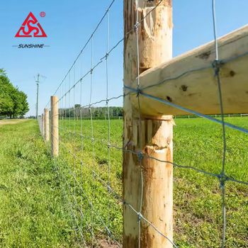 8ft height 50m length galvanized cattle fence