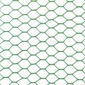 China direct supply green plastic coated iron hexagonal wire mesh