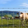 Galvanized farm field livestock cattle fence wire