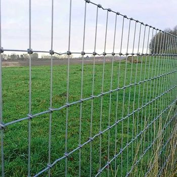 Wholesale best farm field fences for livestock