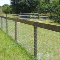 Wholesale best farm field fences for livestock