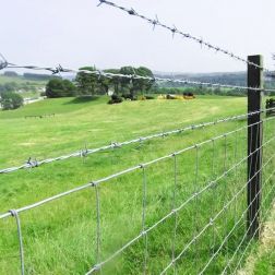 The Benefits of Barbed Wire for Cattle Fences