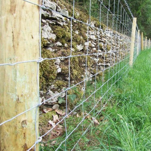 Tight lock field farm fence for horses and cows