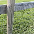 Tight lock field farm fence for horses and cows