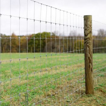 Fixed knot field fence for cattle,deer and horses