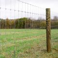 Fixed knot field fence for cattle,deer and horses