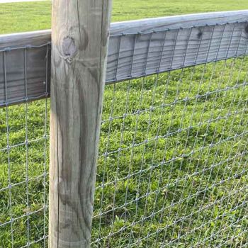 Hot-dipped galvanized iron wire cattle fencing