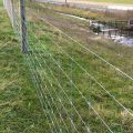 Hot-dipped galvanized iron wire cattle fencing