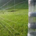 5ft 6ft 7ft 8ft electric galvanized coated iron wire fence for cattle