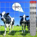 5ft 6ft 7ft 8ft electric galvanized coated iron wire fence for cattle