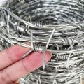 BWG 14 gauge GI barbed wire on fence used for security